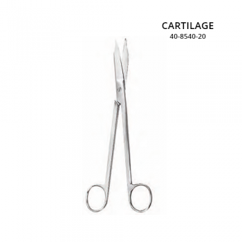 CARTILAGE Tonsil and Nasal